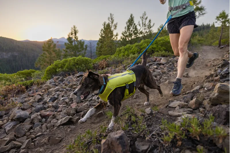 Ruffwear Trail Runner Dog Leash Blue Pool-3